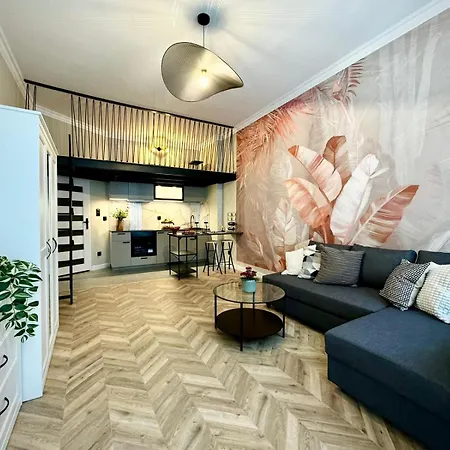 Aviendo Swietokrzyska